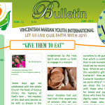JMV newsletter June 2013