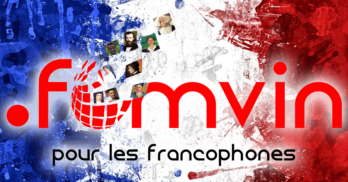 famvin-francophone-facebook