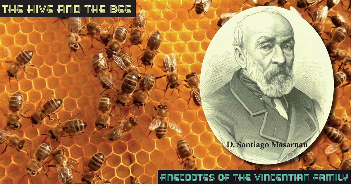 The hive and the bee fb