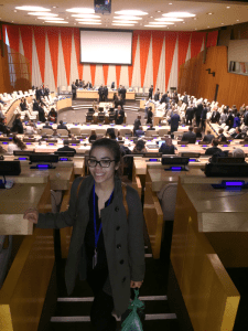 Carol in the ECOSOC Chamber for a Panel