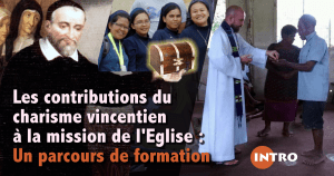 delgado-vincent-contributions-intro-facebook-fr