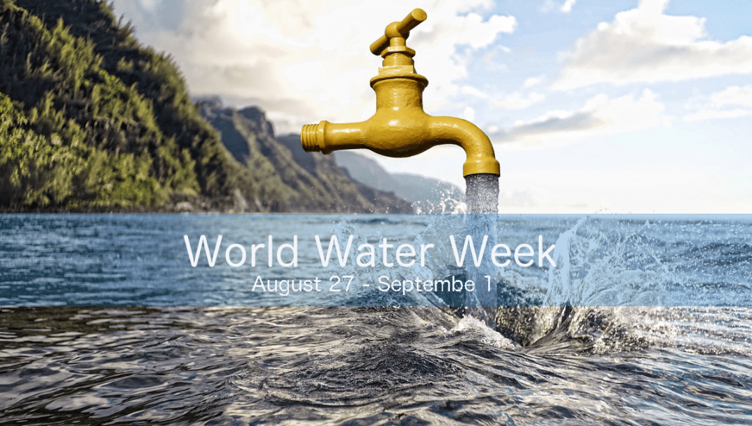 World Water Week In pursuit of SDG 6 FAMVIN NewsEN